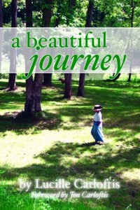 abeautiful journey